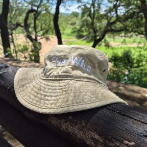 stay-wild-washed-bucket-hat